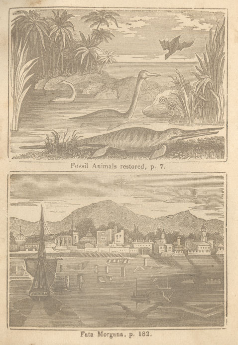 illus of dinosaurs and of a reflection