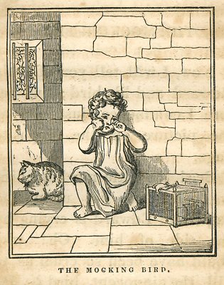 a child cries over a bird, while a cat sits nearby