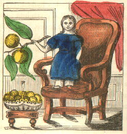a white girl stands on a chair, holding a branch of oranges