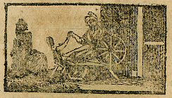 woman spinning