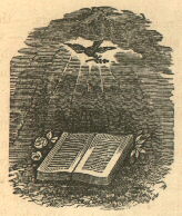 a dove descends above a book