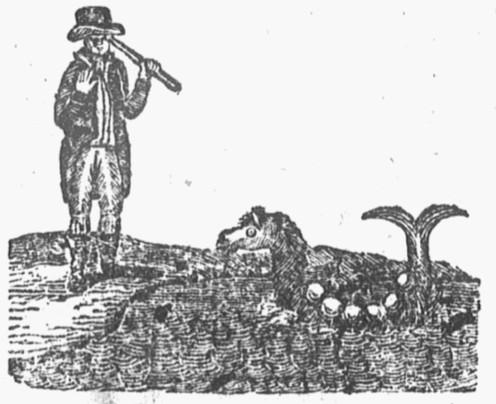 a man with a telescope gazes at a tiny horse-headed monster in water