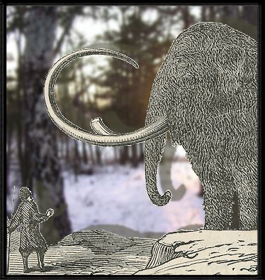 a mammoth