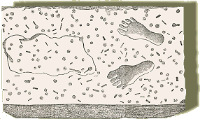 footprints in rock