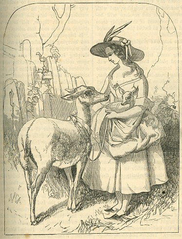 illus of girl cradling a fawn in one arm and petting a doe