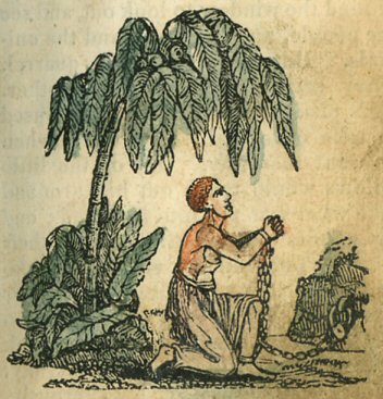 a chained slave woman kneels beneath a palm tree