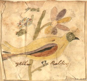 a yellow robin