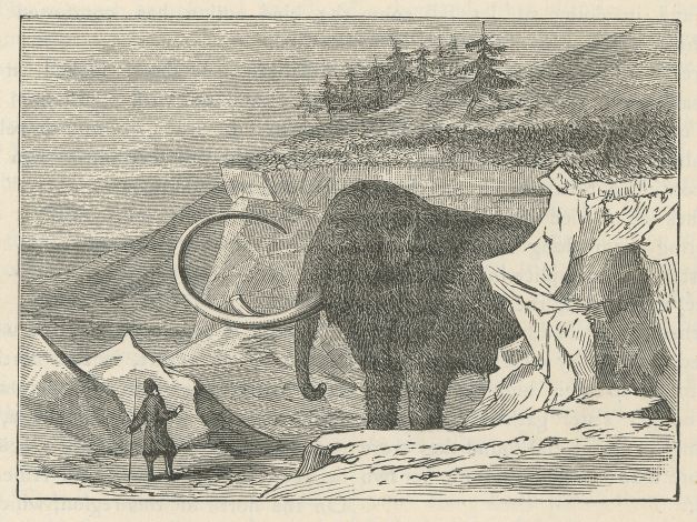 a man stands before a huge woolly mammoth